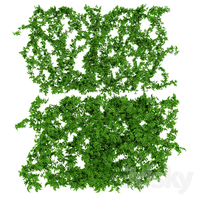 Wall of vine leaves 3DS Max Model - thumbnail 1