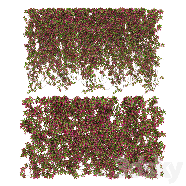 Wall of wild grapes leaves v3 3DSMax File - thumbnail 1