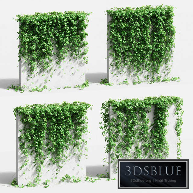 Wall with grape leaves. 4 models 3DS Max - thumbnail 3