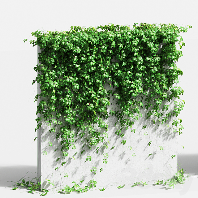 Wall with grape leaves. 4 models 3DSMax File - thumbnail 2