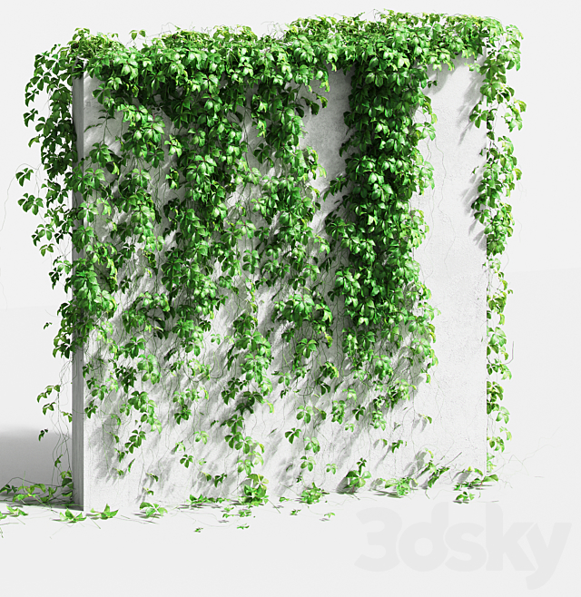 Wall with grape leaves. 4 models 3DSMax File - thumbnail 3