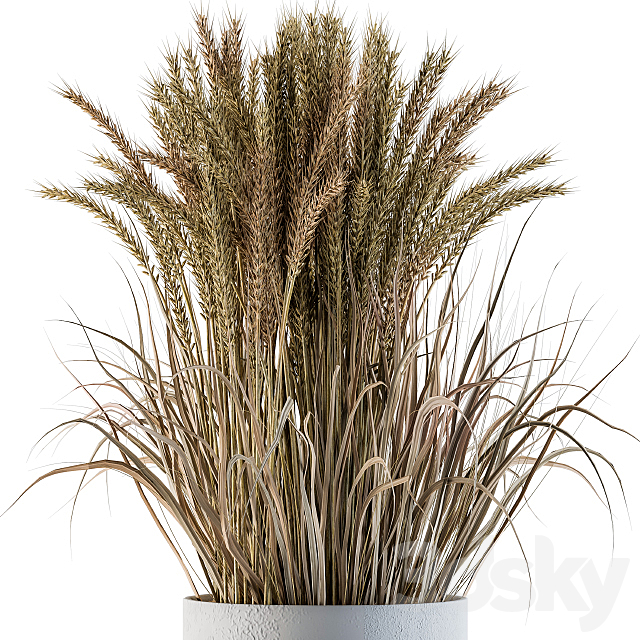 Wheat with Wild Grass in Concrete Round Pot 3DS Max Model - thumbnail 2