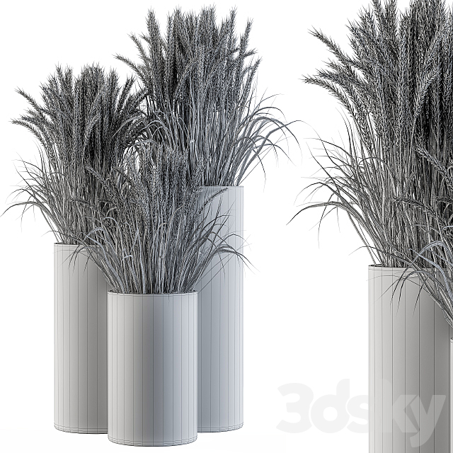 Wheat with Wild Grass in Concrete Round Pot 3DS Max Model - thumbnail 5