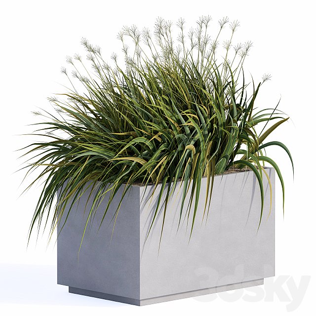 windy grass and Plants in Concrete Box 3ds Max - thumbnail 1