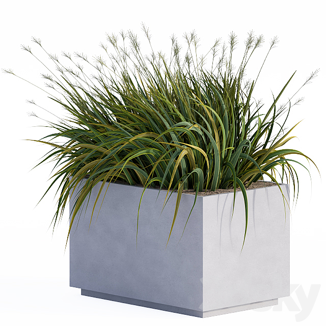 windy grass and Plants in Concrete Box 3ds Max - thumbnail 2