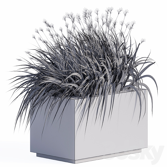 windy grass and Plants in Concrete Box 3ds Max - thumbnail 3