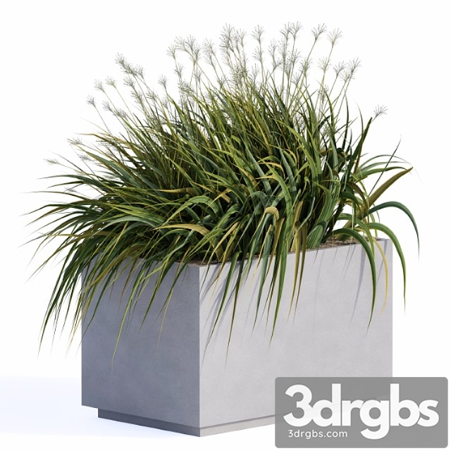 Windy Grass And Plants In Concrete Box 3dsmax Download - thumbnail 1