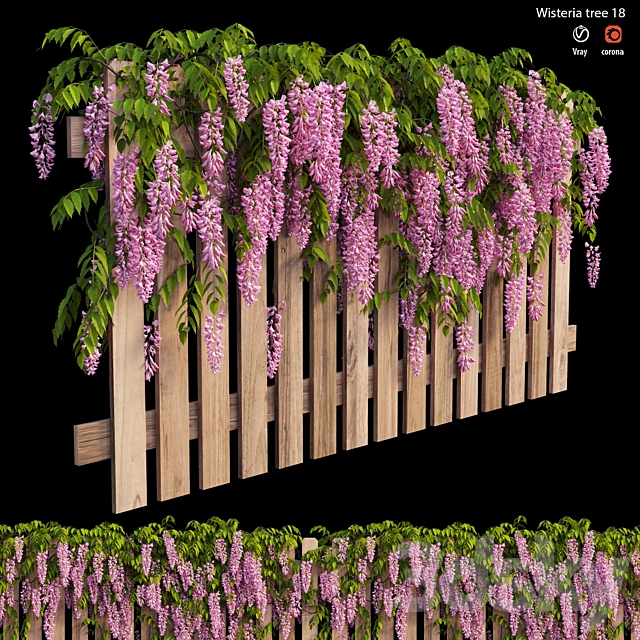 wisterial plant 18 3ds Max - thumbnail 1