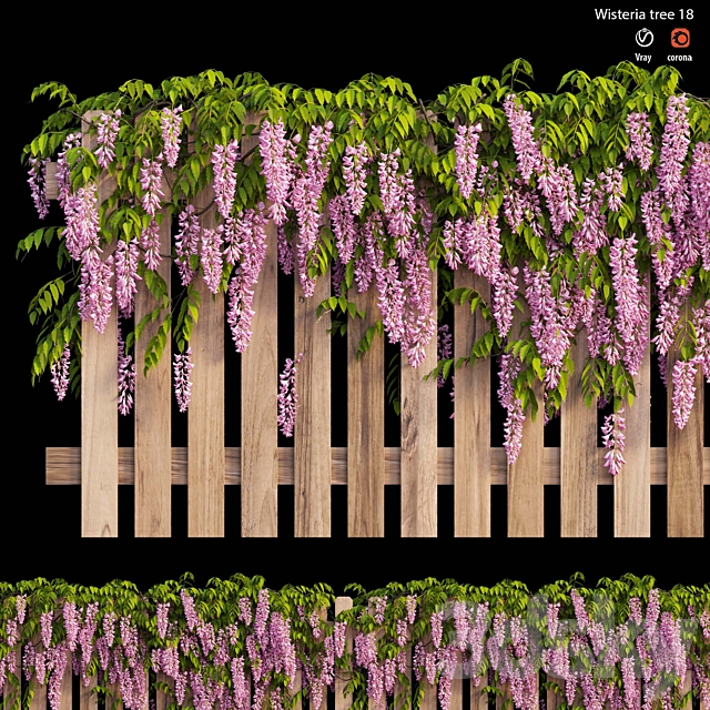 wisterial plant 18 3ds Max - thumbnail 2