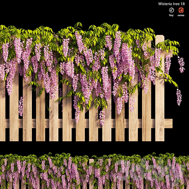 wisterial plant 18 3ds Max - thumbnail 3