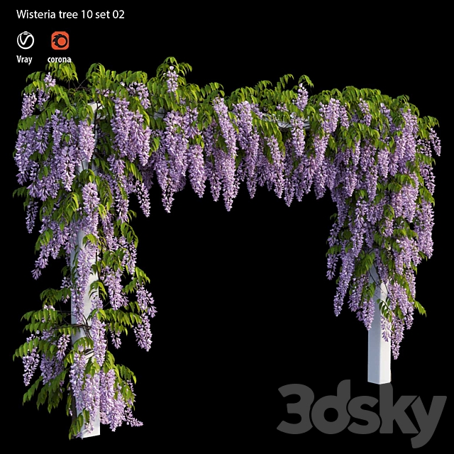 wisterial tree 10 set 02 3DS Max Model - thumbnail 3