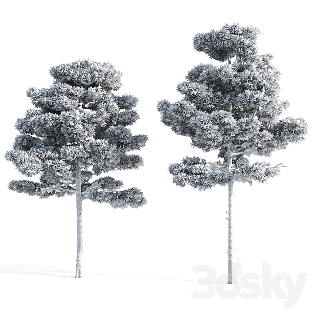 2 pine vray 3DS Max Model - thumbnail 5