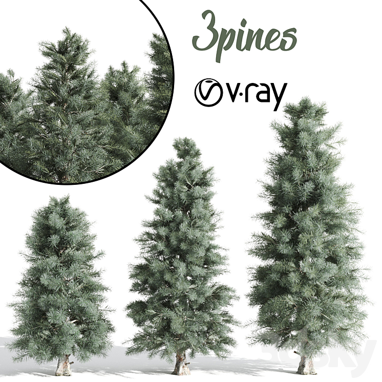 3 Pine tree 3DS Max - thumbnail 1