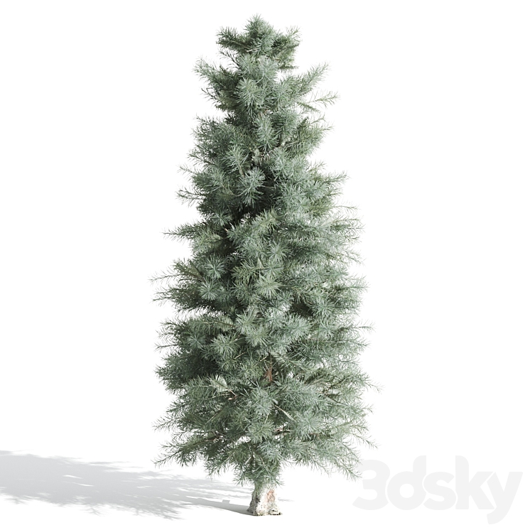 3 Pine tree 3DS Max - thumbnail 2