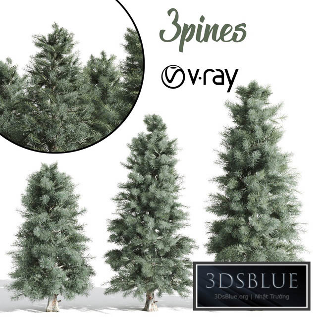 3 Pine tree 3DS Max - thumbnail 3