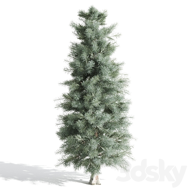 3 Pine tree 3DSMax File - thumbnail 2