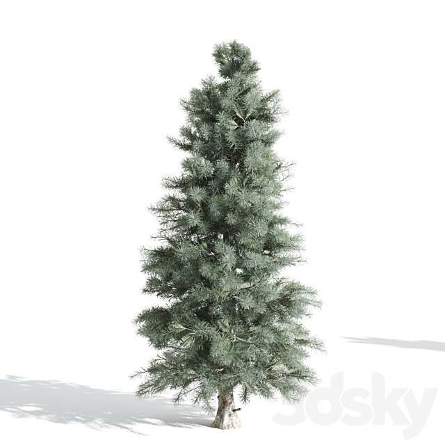 3 Pine tree 3DSMax File - thumbnail 3