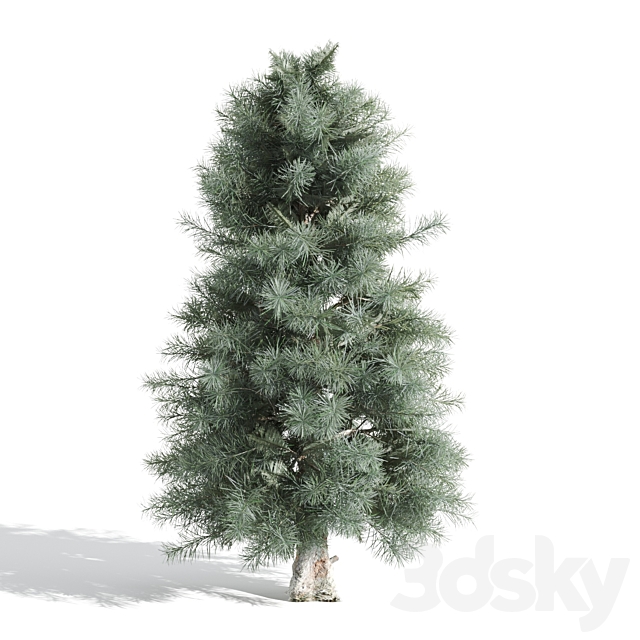 3 Pine tree 3DSMax File - thumbnail 4