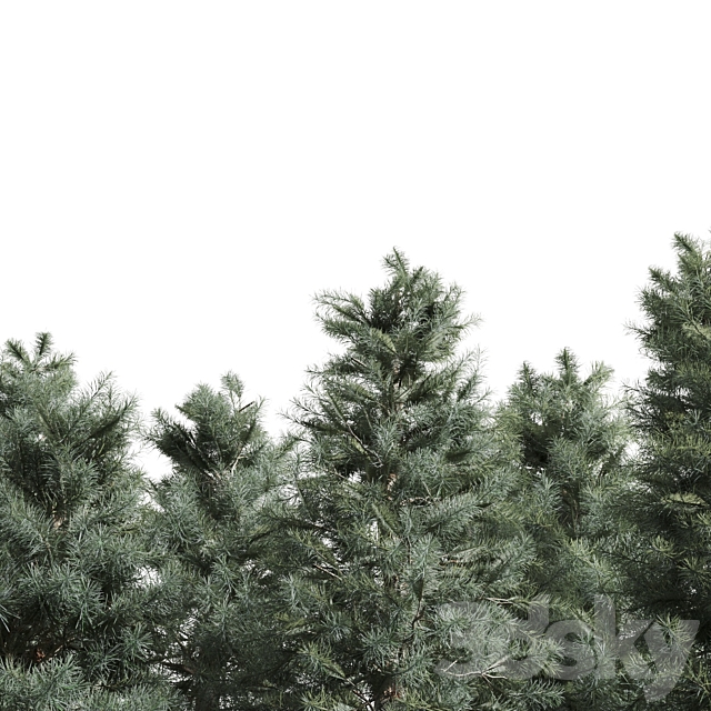 3 Pine tree 3DSMax File - thumbnail 5