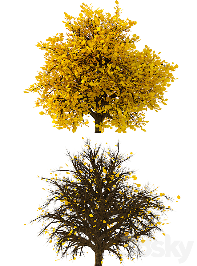 3D Model of the Bush No. 2 3DS Max Model - thumbnail 3