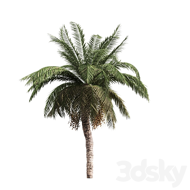 4 palms 3ds Max - thumbnail 3