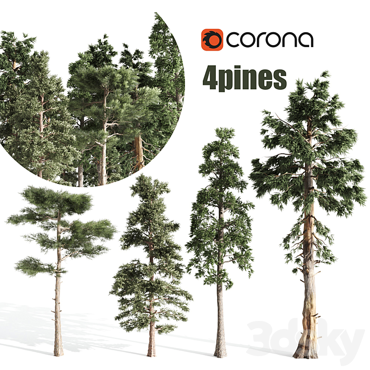 4 pines 3DS Max - thumbnail 1