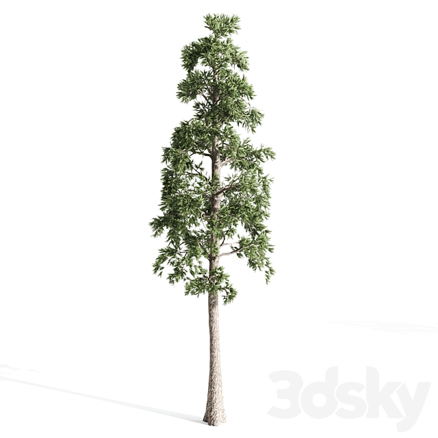 4 pines 3DSMax File - thumbnail 3