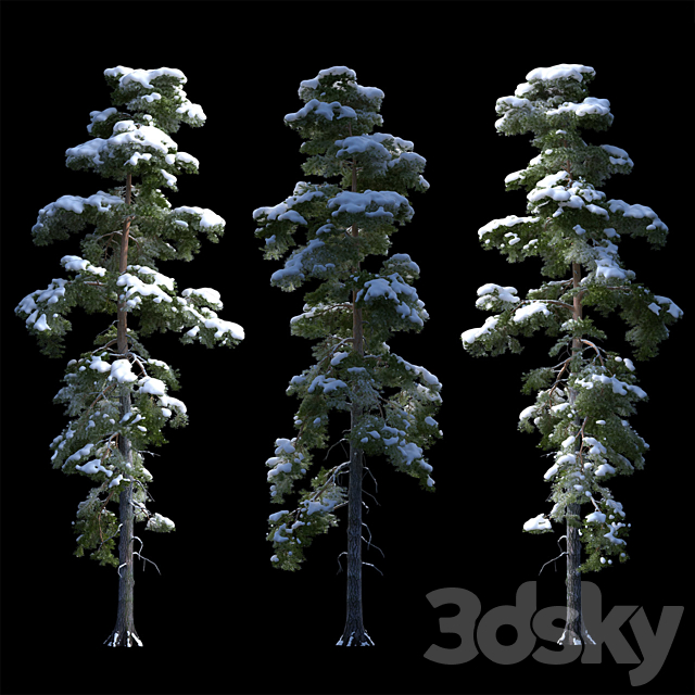 A large pine tree in the snow 3DSMax File - thumbnail 1