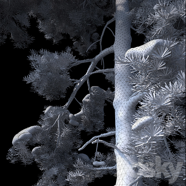 A large pine tree in the snow 3DSMax File - thumbnail 3