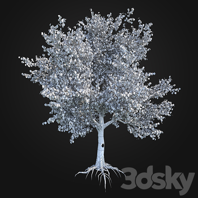 Apple Tree 1 3DS Max Model - thumbnail 3