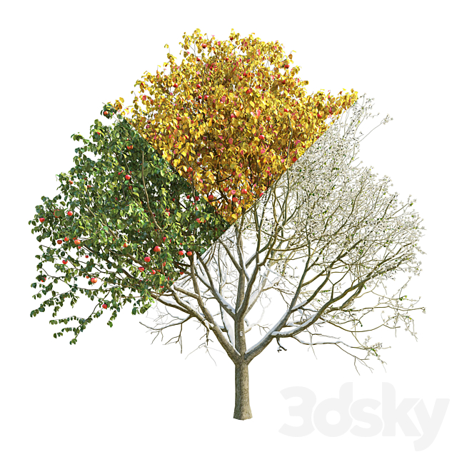 Apple tree 3 season 3DS Max Model - thumbnail 2