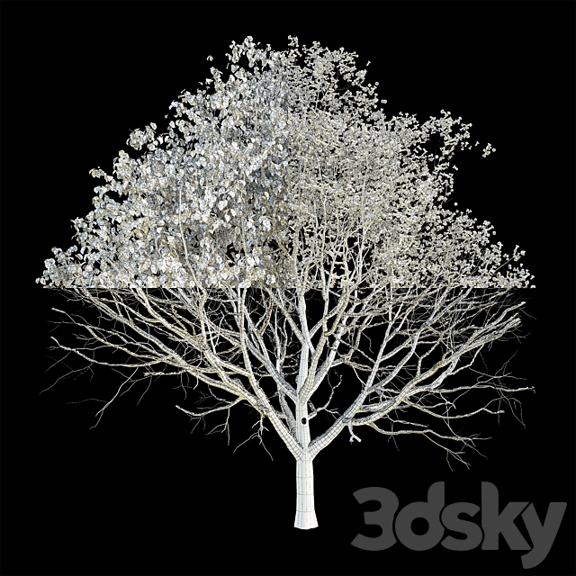 Apple tree 3 season 3DS Max Model - thumbnail 3