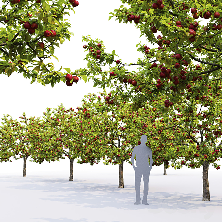 Apple tree 3DS Max - thumbnail 2