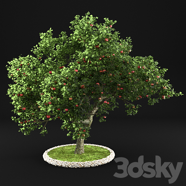 Apple Tree 3DS Max Model - thumbnail 1