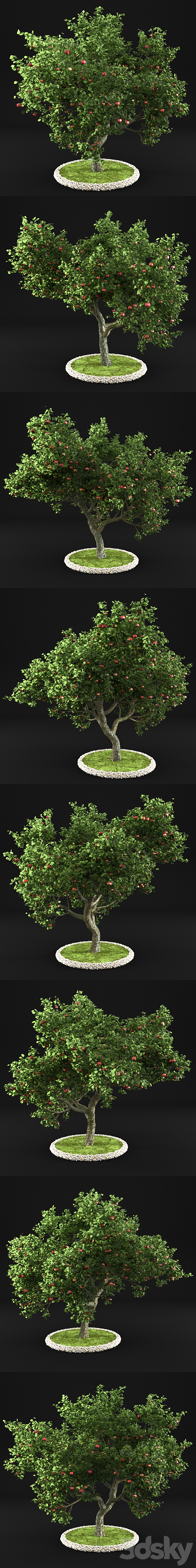 Apple Tree 3DS Max Model - thumbnail 2