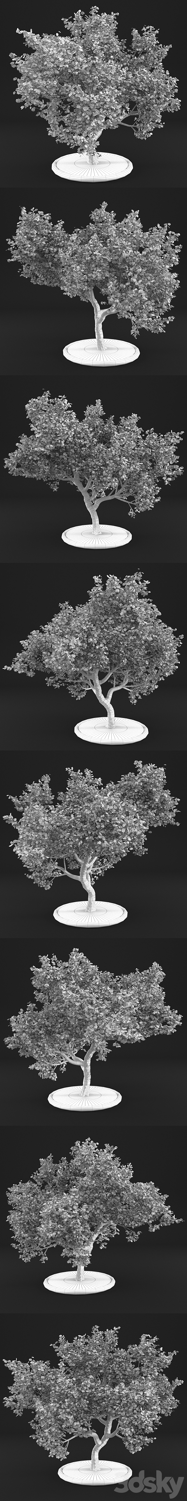 Apple Tree 3DS Max Model - thumbnail 3