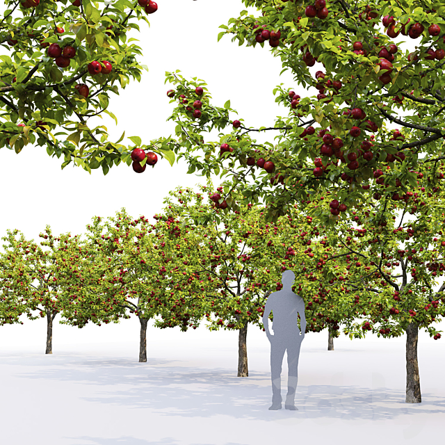 Apple tree 3DSMax File - thumbnail 2