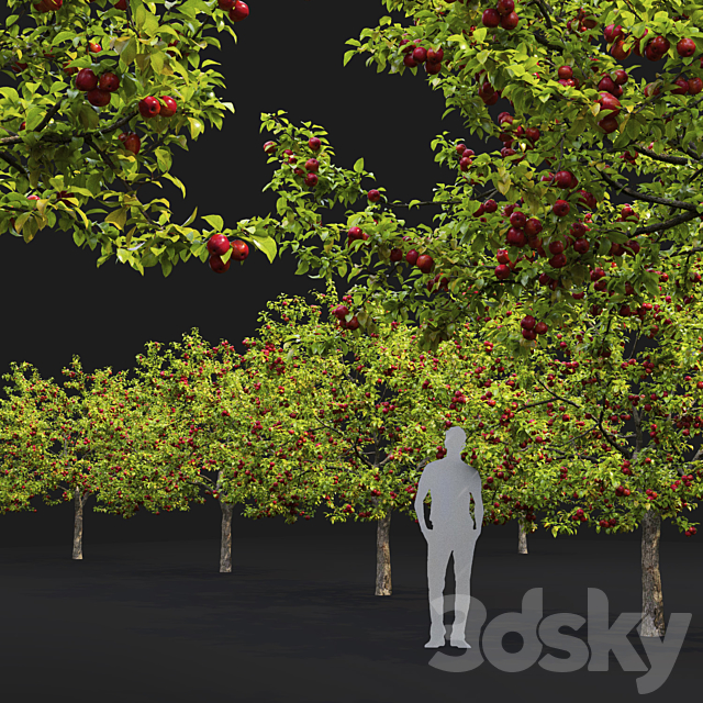 Apple tree 3DSMax File - thumbnail 3