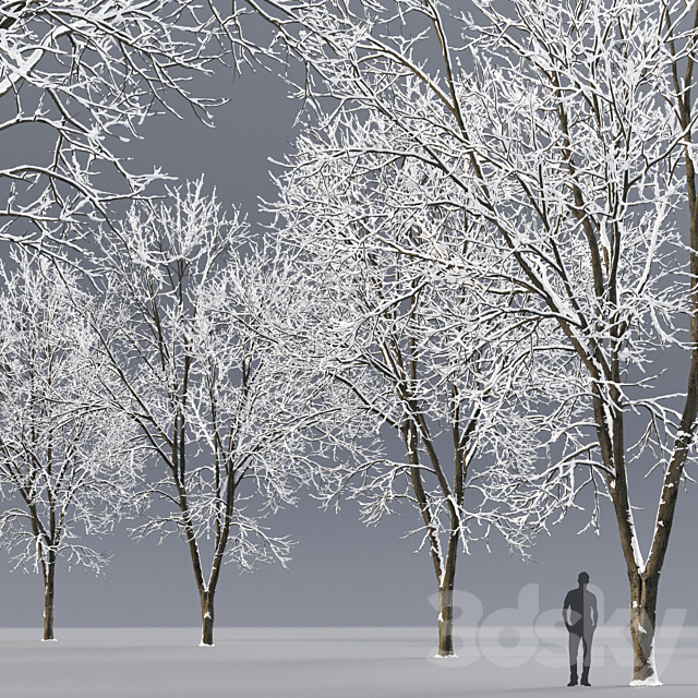 Ash winter 3DS Max Model - thumbnail 2