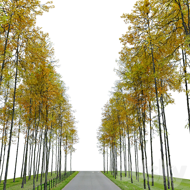 Autumn forest trees 3ds Max - thumbnail 3