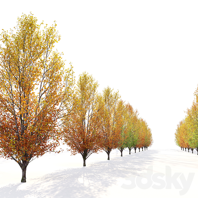 Autumn pear tree 02 3DS Max Model - thumbnail 5