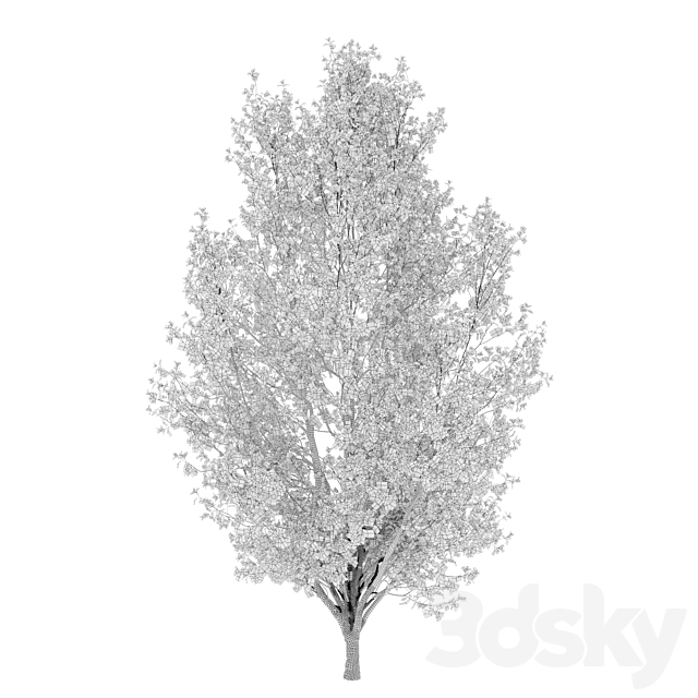 Autumn pear tree 02 3DS Max Model - thumbnail 6