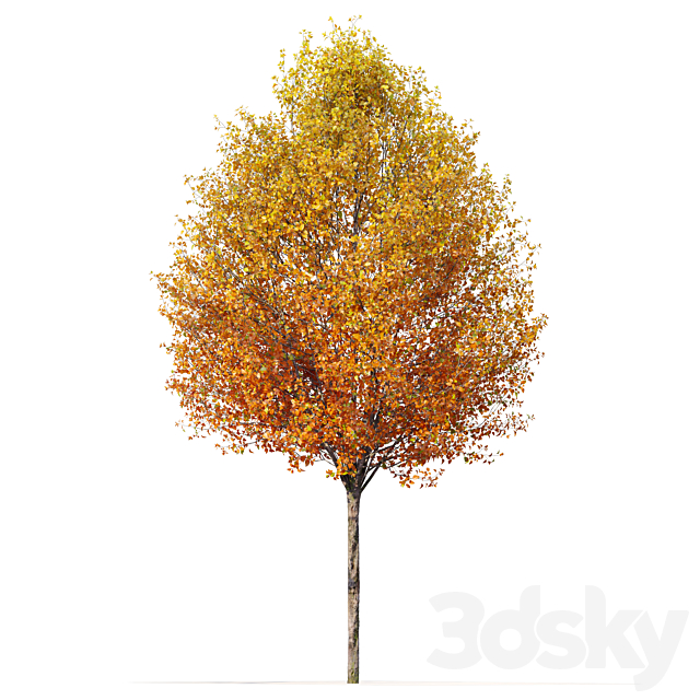 Autumn pear tree 3DS Max Model - thumbnail 3