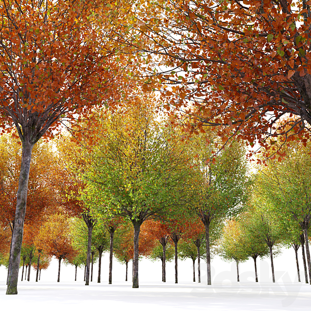 Autumn pear tree 3DS Max Model - thumbnail 4