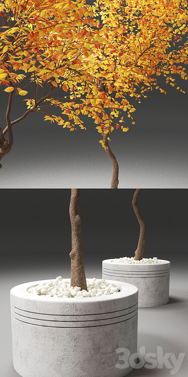 autumn trees 3ds Max - thumbnail 2