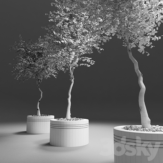 autumn trees 3ds Max - thumbnail 3