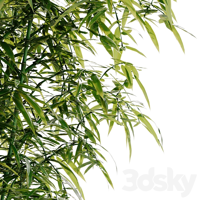 Bamboo Bush 3DS Max Model - thumbnail 3