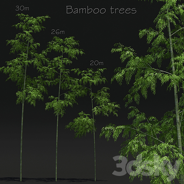 Bamboo Trees 3DSMax File - thumbnail 1