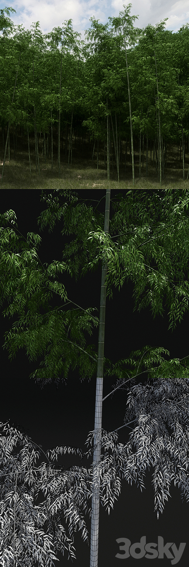 Bamboo Trees 3DSMax File - thumbnail 2