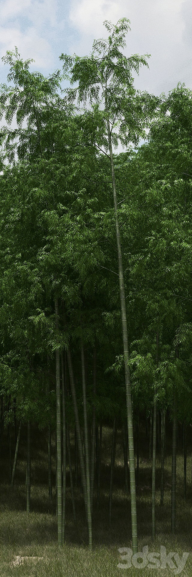 Bamboo Trees 3DSMax File - thumbnail 3